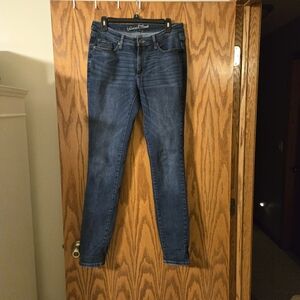 Universal Thread Dark Blue Skinny Jeans